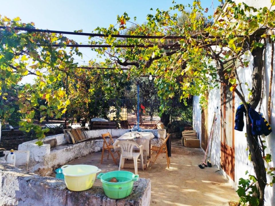 Landejendom i Carovigno, Brindisi - foto 4